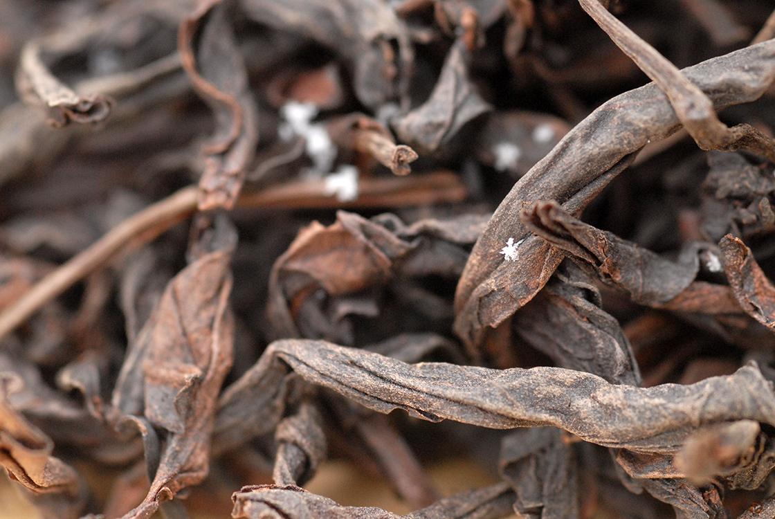 A sütés hagyományosan parázs fölött nagyon óvatosan történik. Tie Luo Han Wuyi rock oolong tea