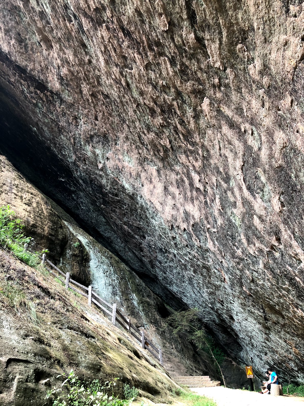 wuyi shan szikla oolong tea