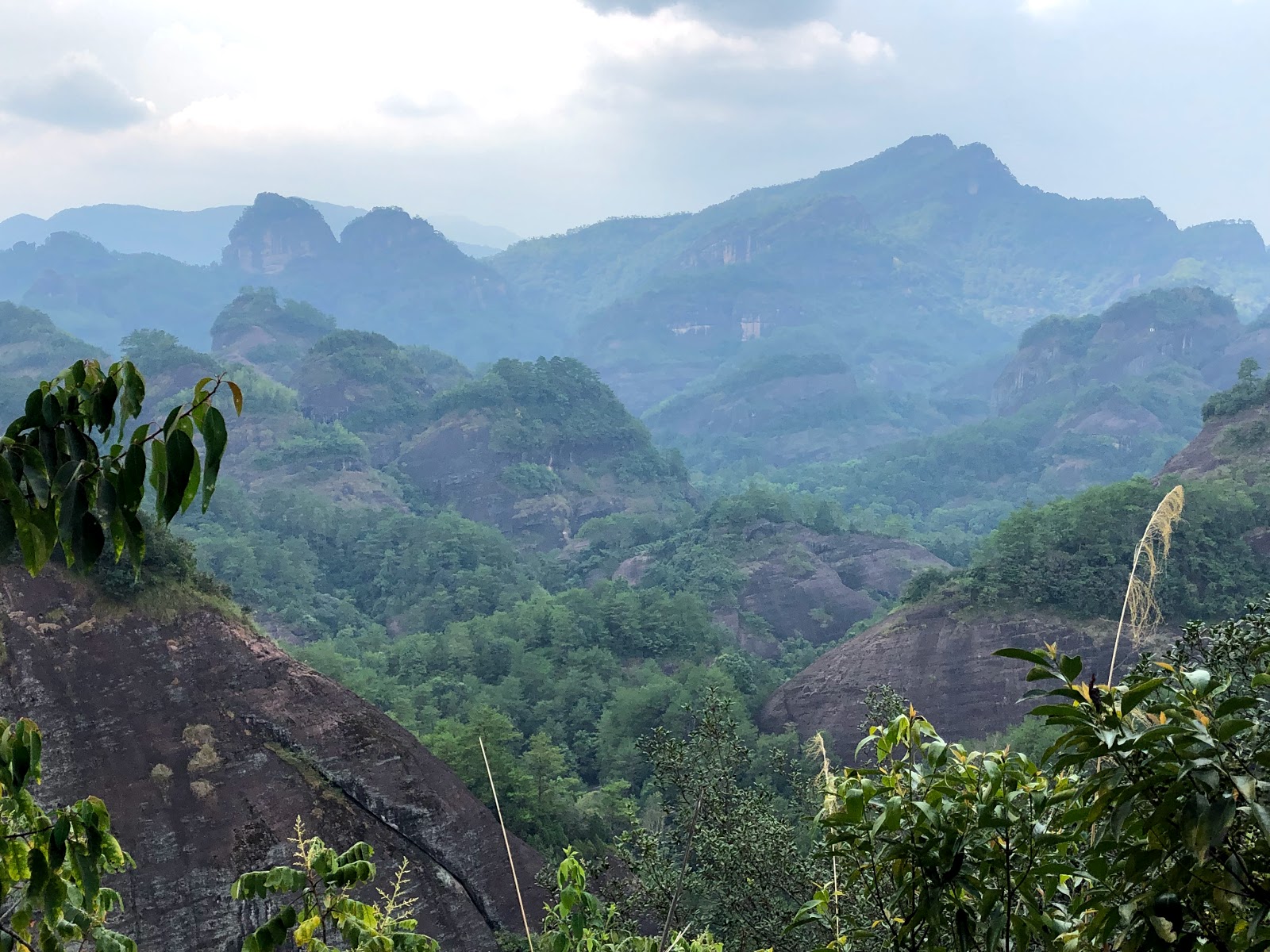 wuyi shan szikla oolong tea