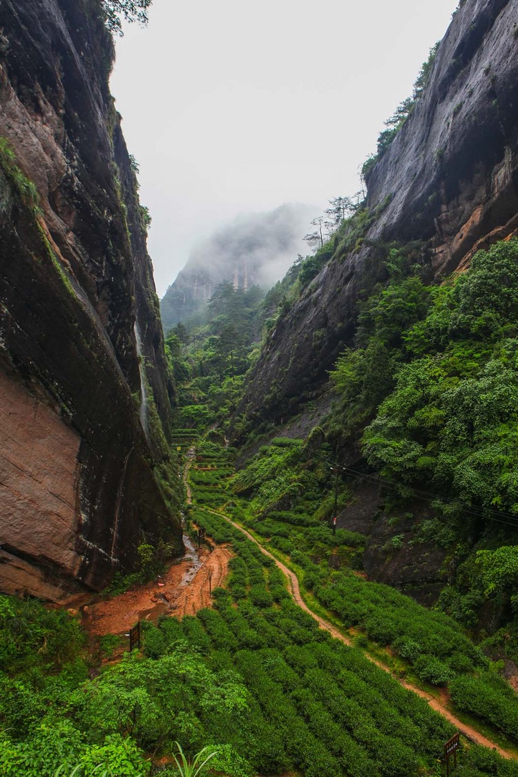 Wuyi Shan belső Niu Lan Keng