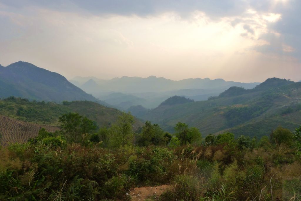 Yiwu puerh teahegység   易武茶山