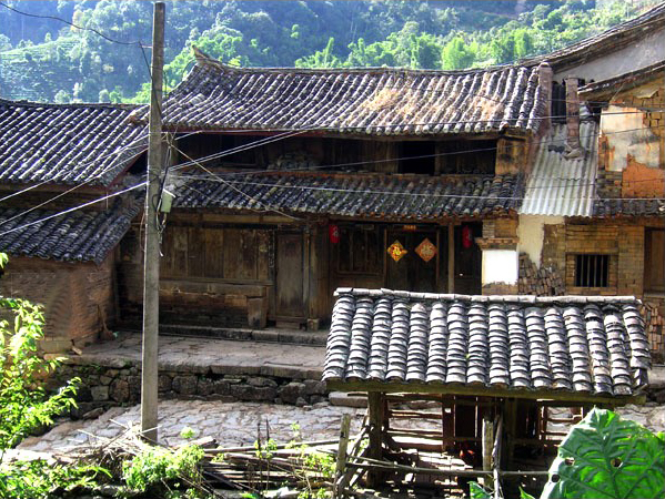 Yiwu puerh teahegység   易武茶山