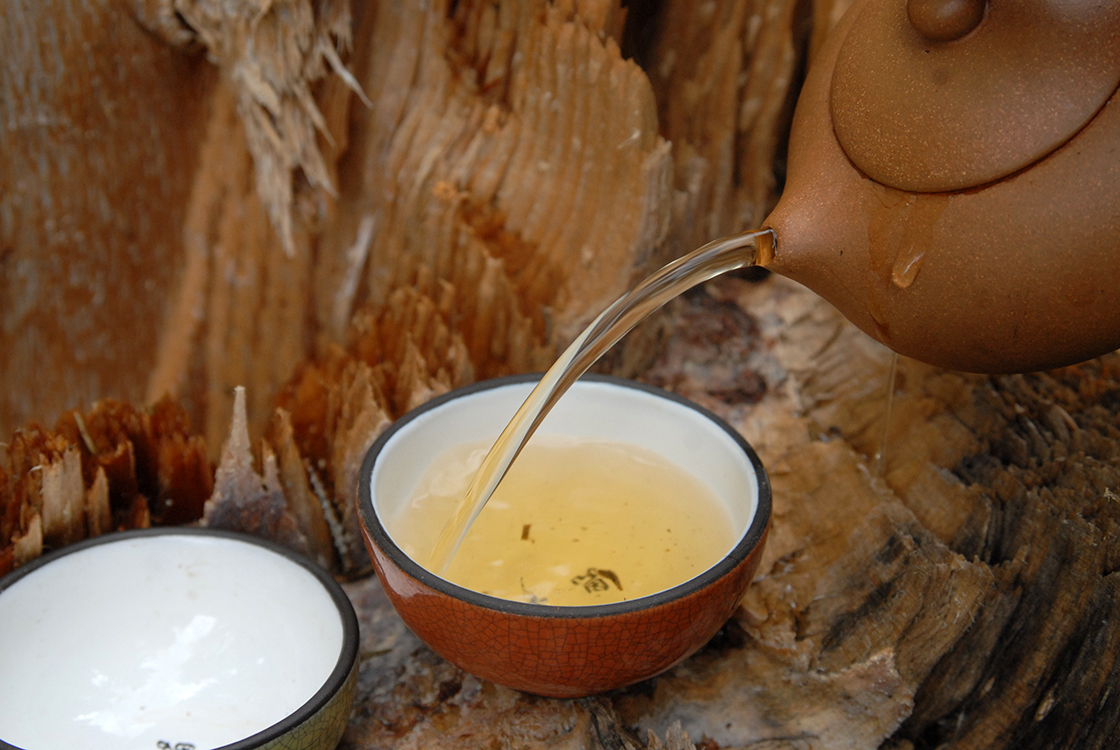 pasha hegyi vad sheng puer tea