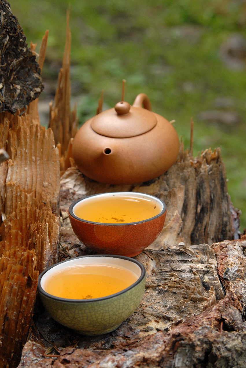 pasha hegyi vad sheng puer tea