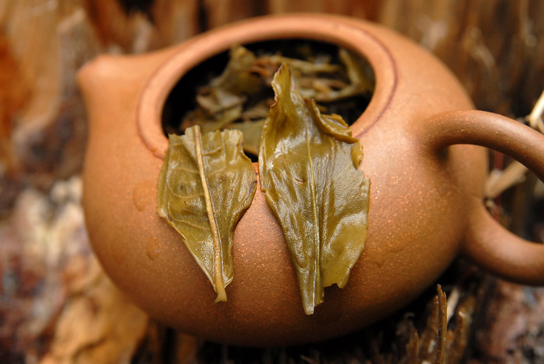 pasha hegyi vad sheng puer tea