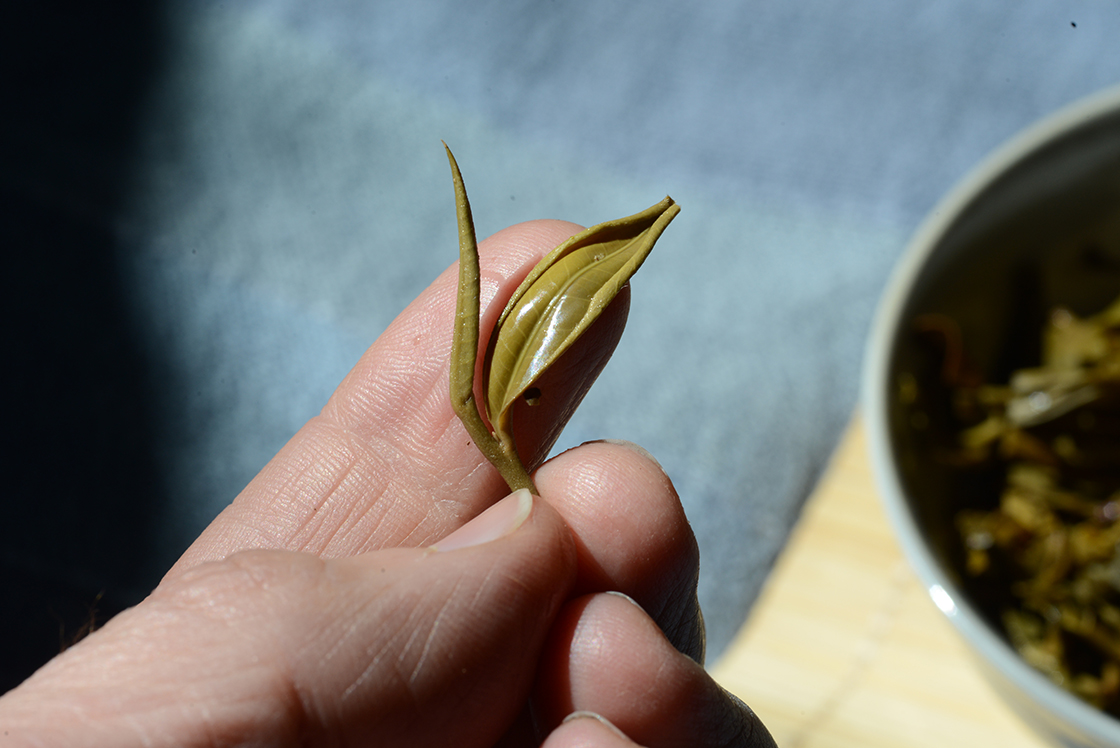 2016 Mengku Da Xue Shan sheng puer tea