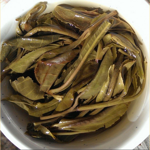 bing dao sheng puerh tea