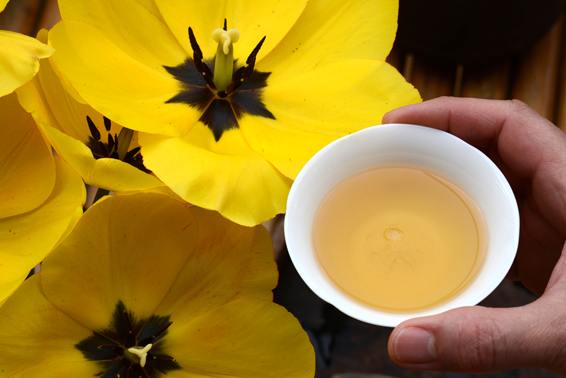 Sárga tea, sárga rügyek