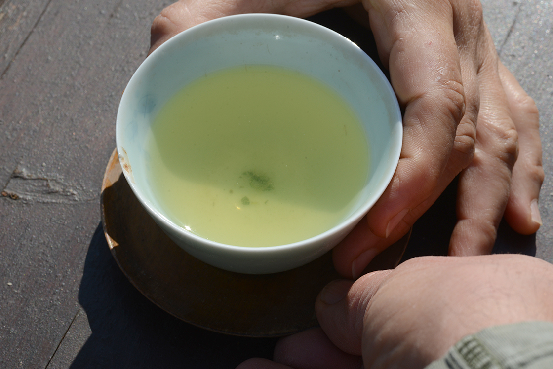 asamiya sencha okumidori