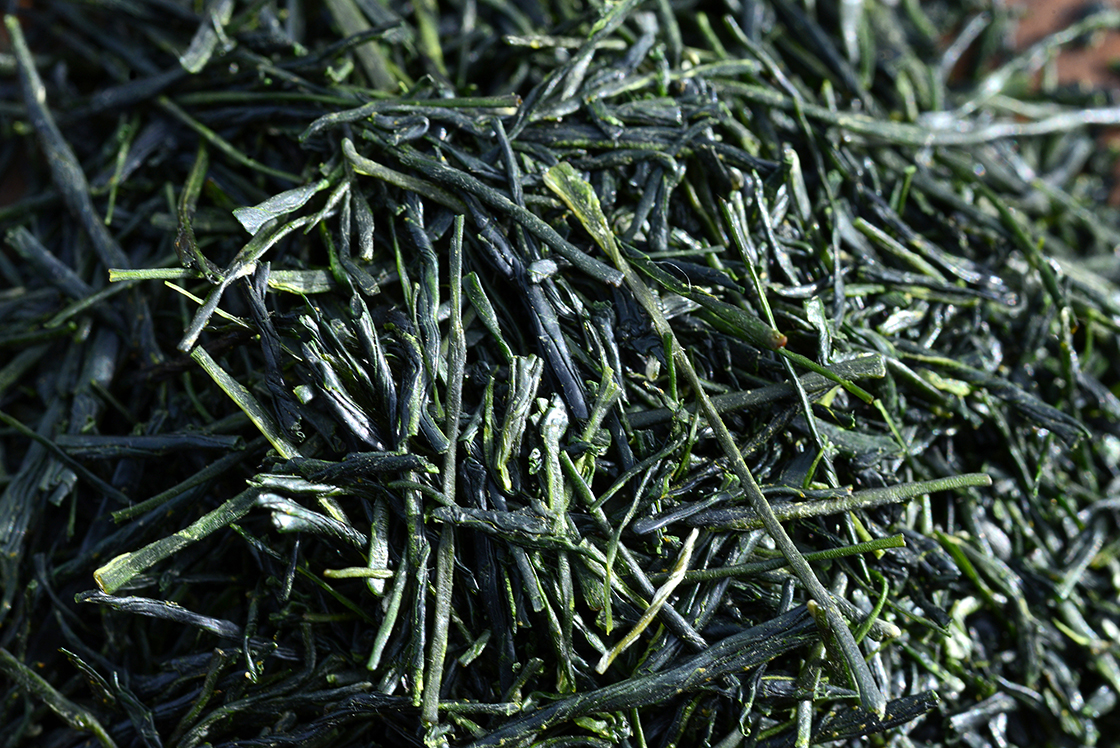 asamiya sencha saiun