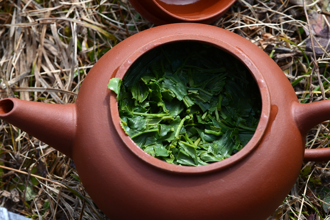 asamiya sencha saiun