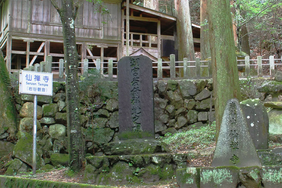 Asamiya cha egy az öt legjobb japán teából