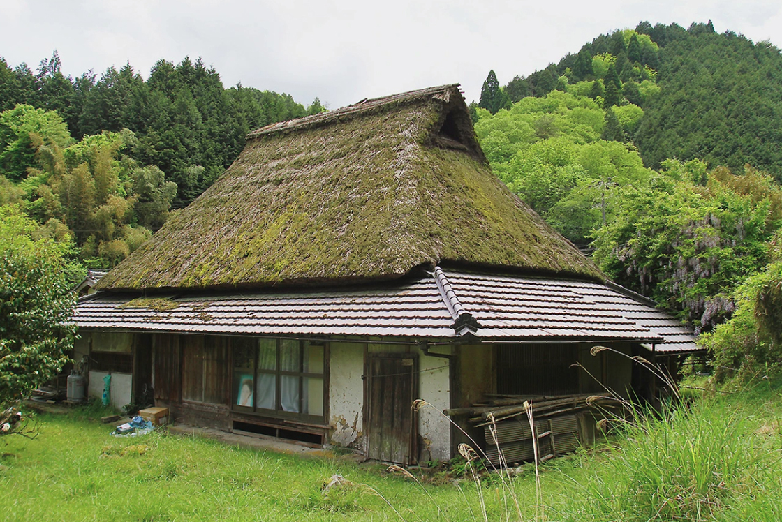 asamiya tea