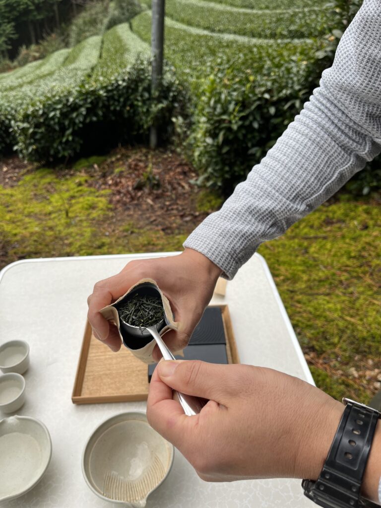 asamiya sencha tea