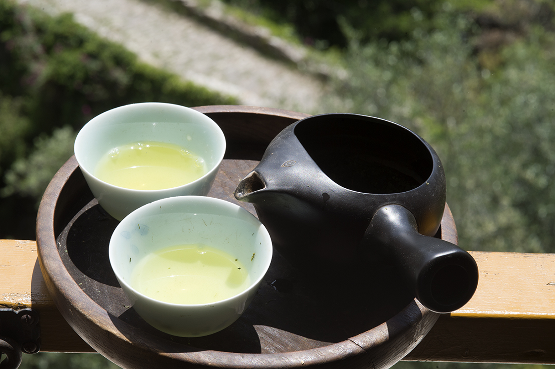 tencha sencha