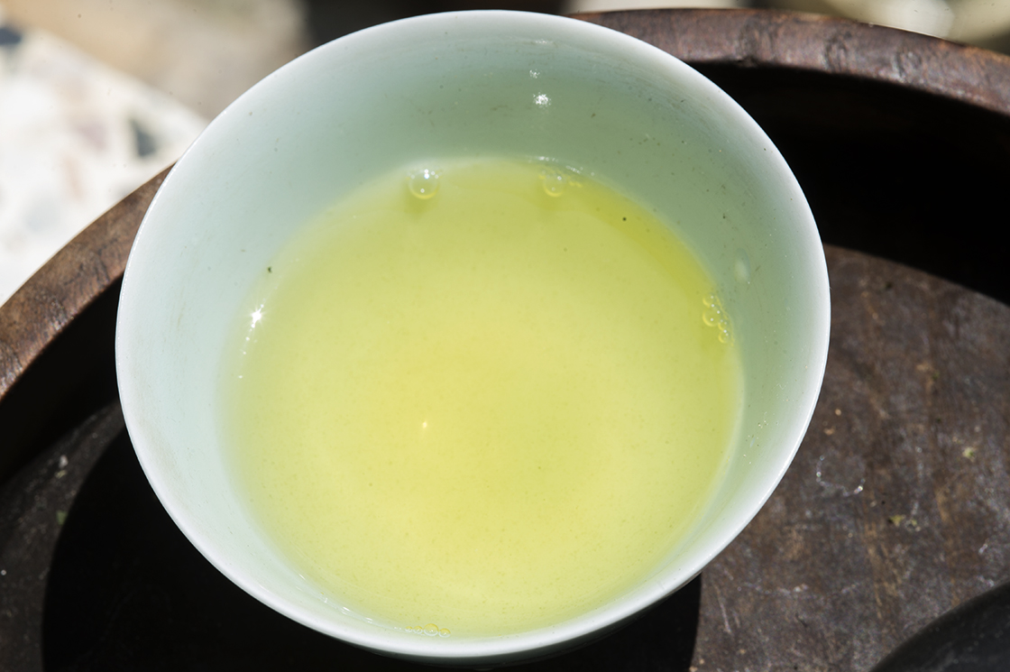 tencha sencha