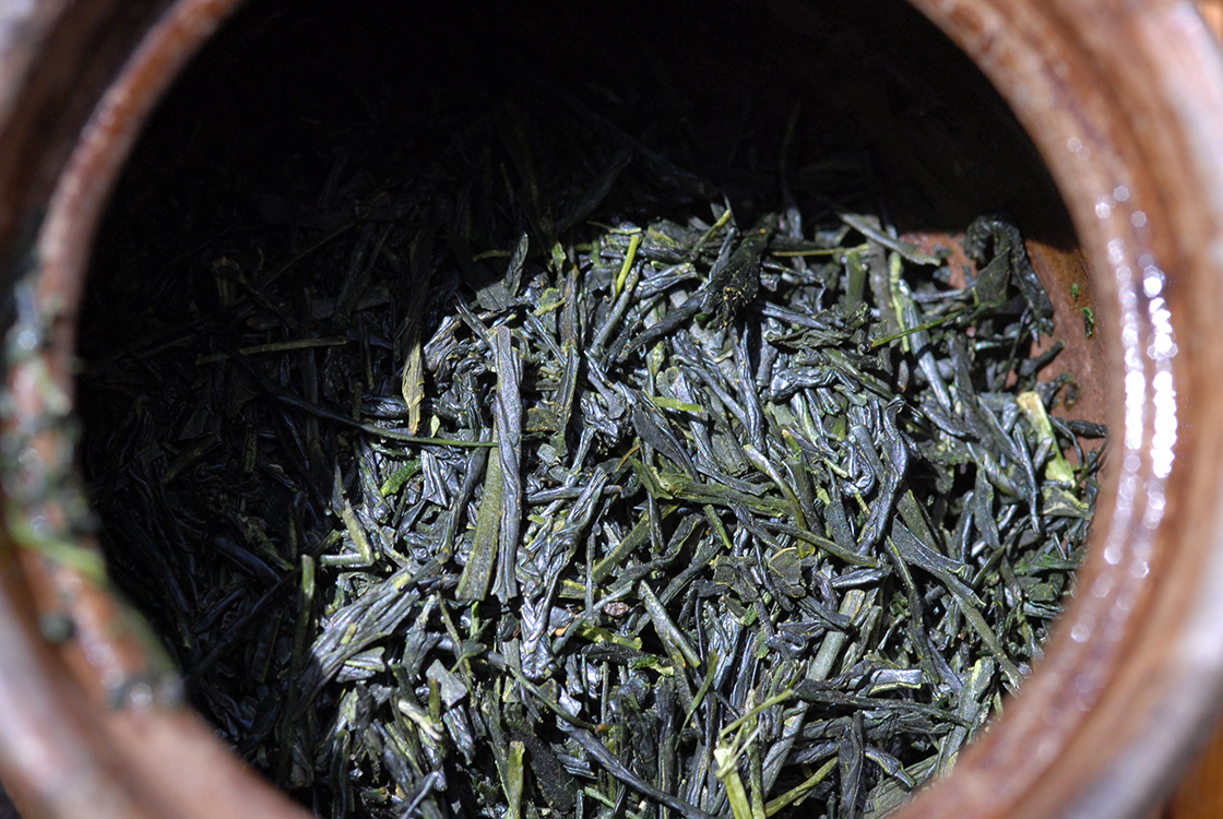 九重 ここのえ sencha kokonoe