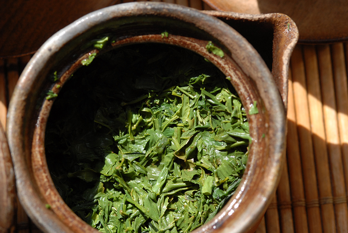 九重 ここのえ sencha kokonoe