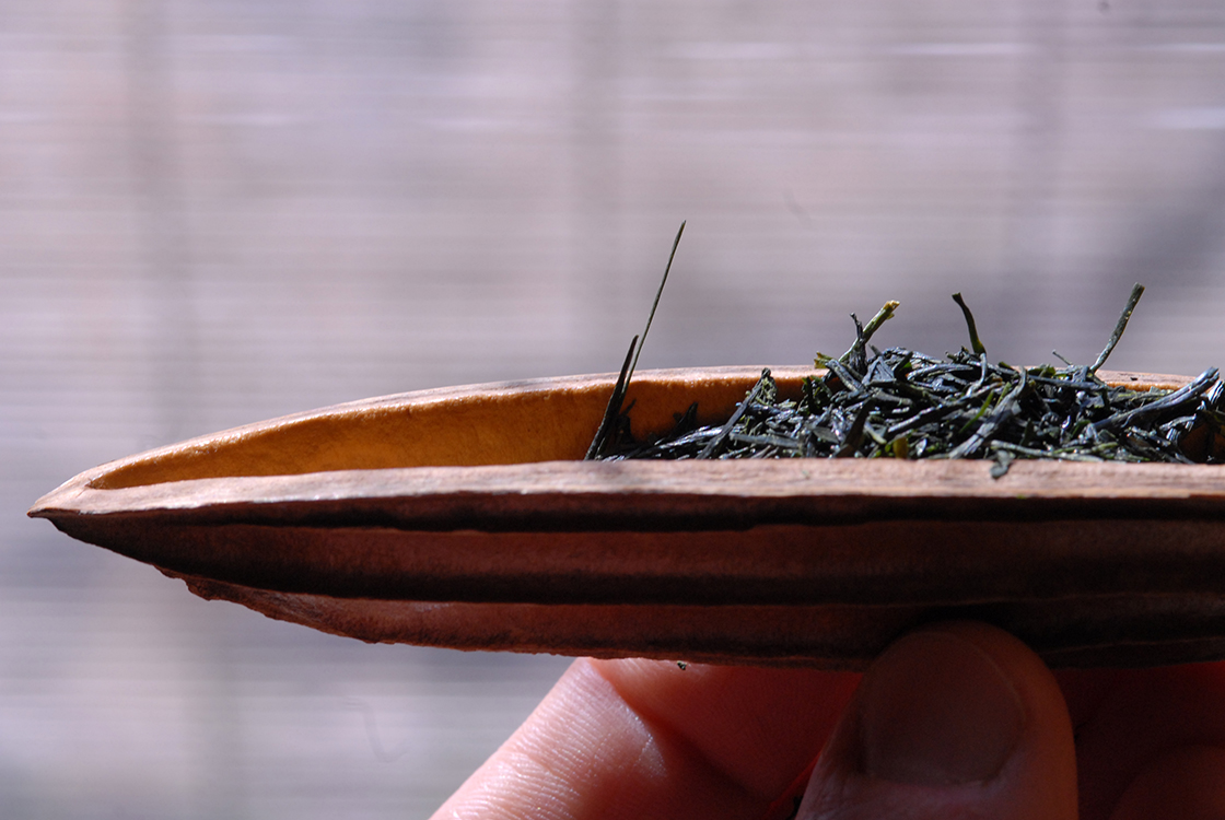 九重 ここのえ sencha kokonoe