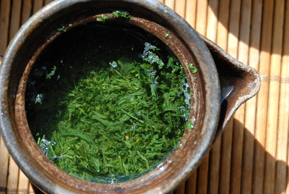 九重 ここのえ sencha kokonoe