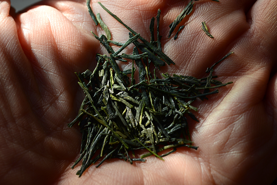 marukyu koyamaen sencha sofu