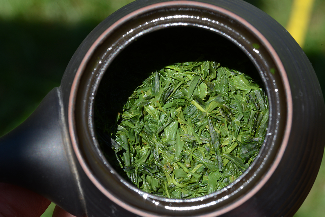 Shizuoka Inaguchi sencha japán zöld tea