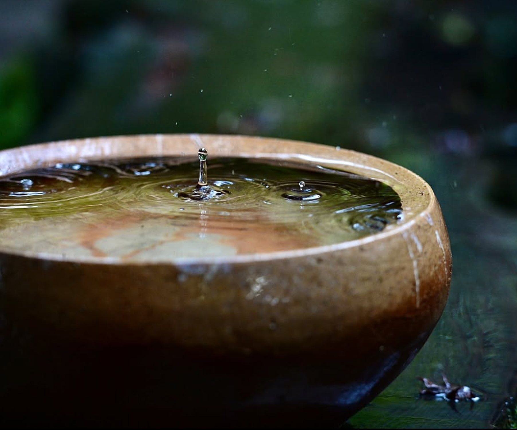 takahara bizen