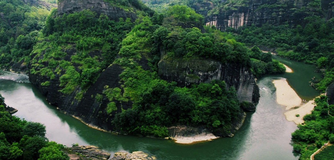 wuyi shan tea
