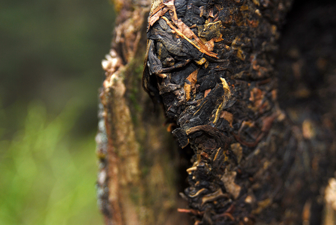 2005 Xiaguan ye sheng vad sheng puerh tea