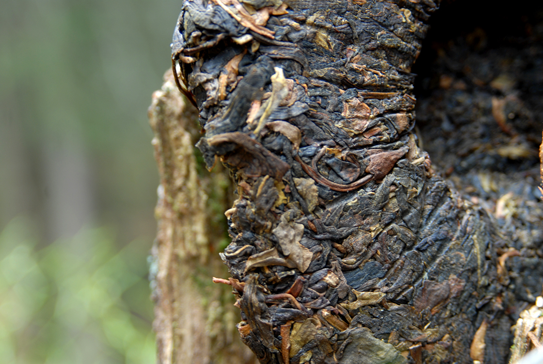 2005 Xiaguan ye sheng vad sheng puerh tea