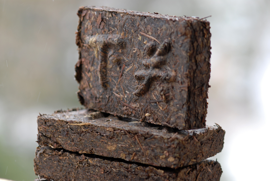 Kőrösi Csoma Sándor teája xiaguan Tibetan Baoyan sheng puer tea