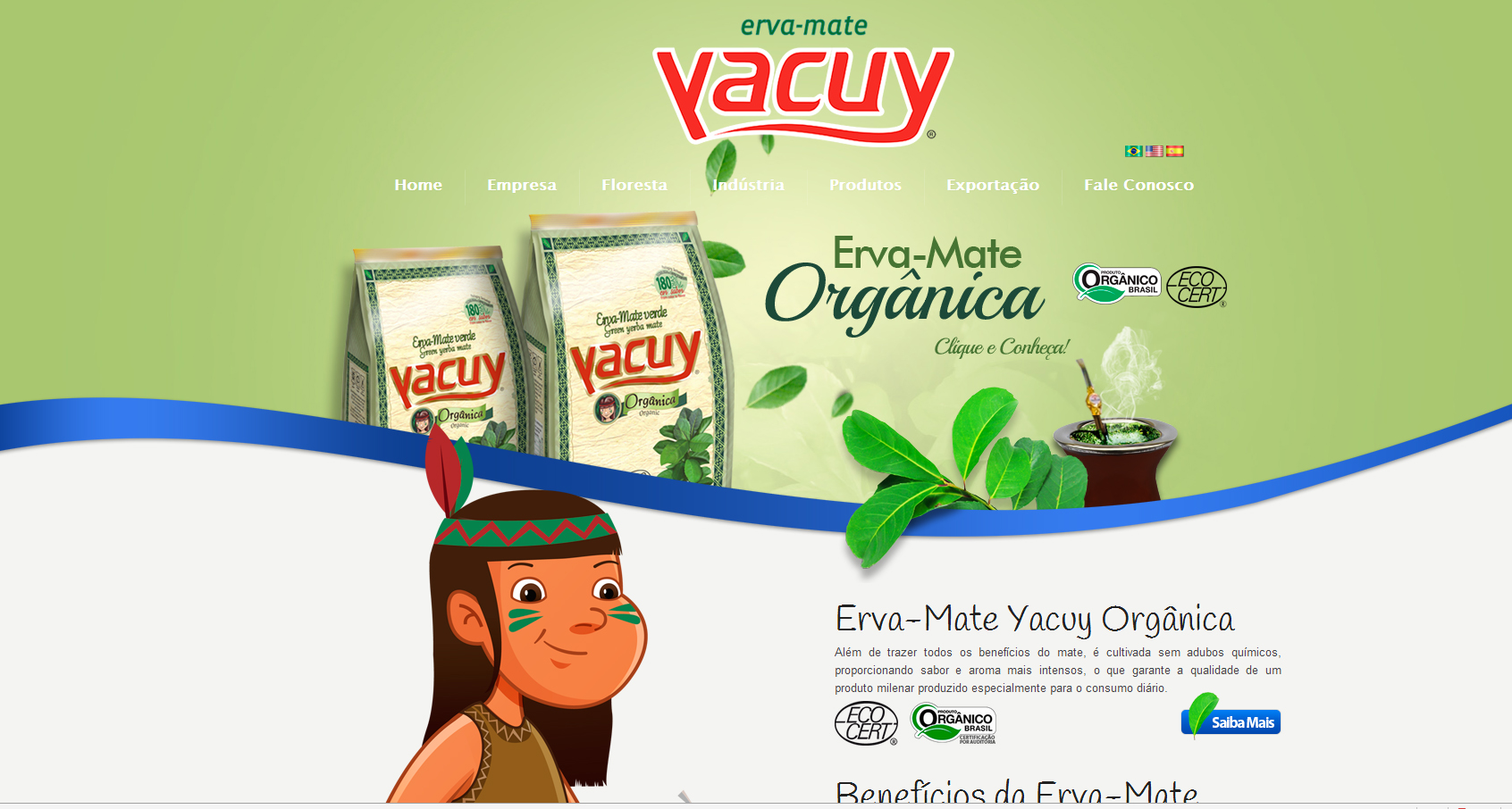 Yacui brazil yerba mate