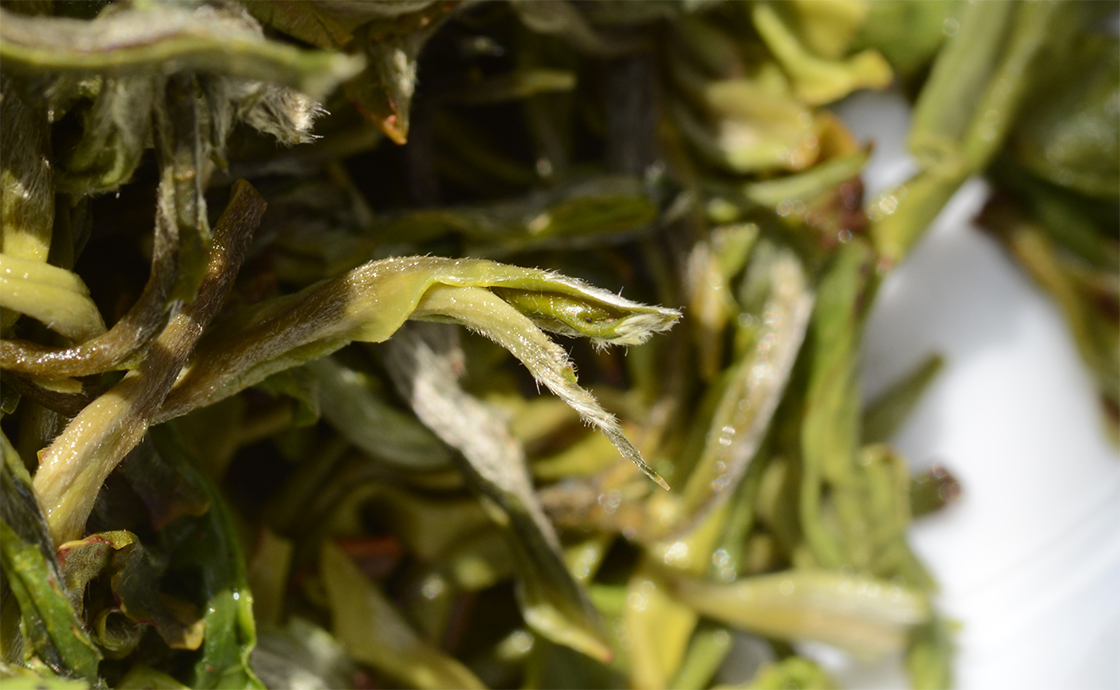 Yunnan Cui Ming kínai zöld tea