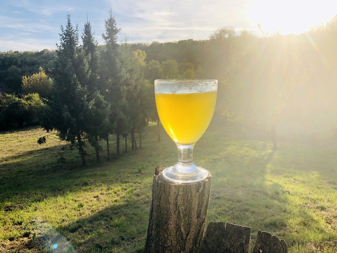 Asamiya reggeli harmat sencha japán zöld tea