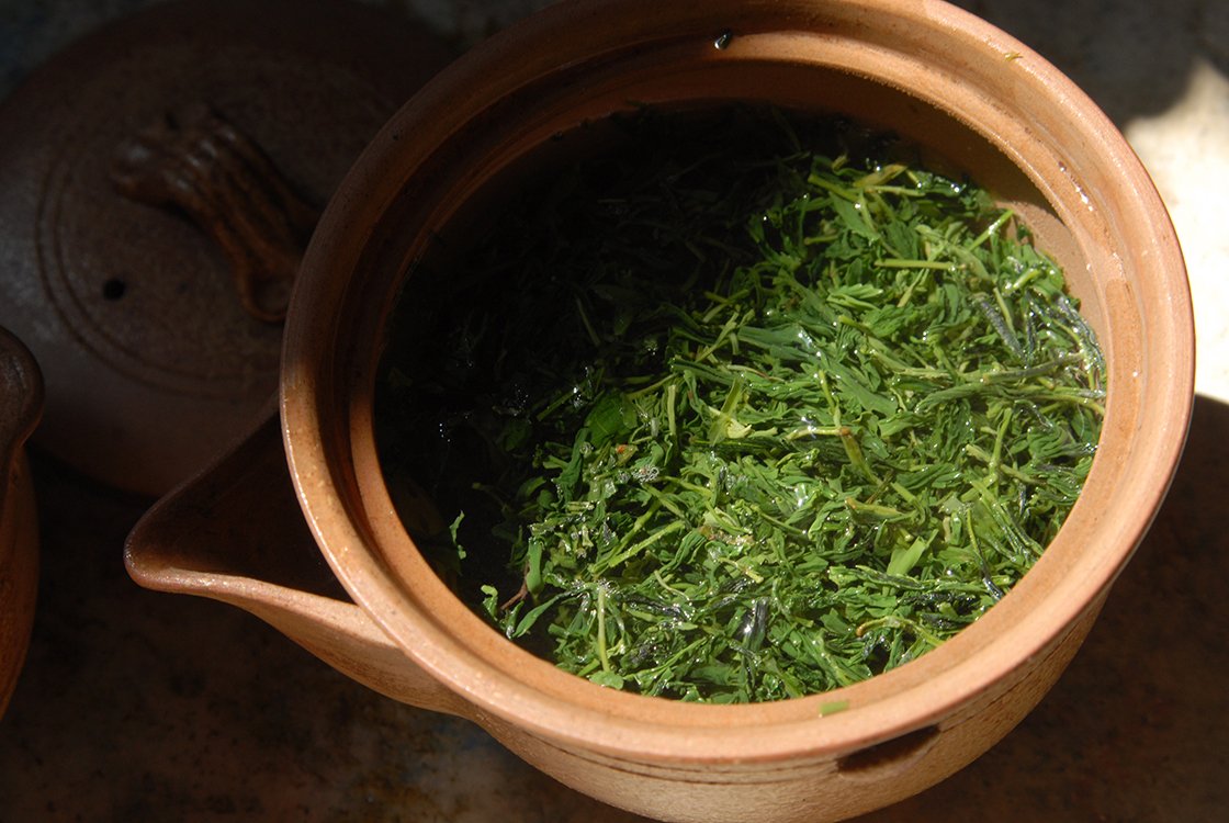 Gyokuro Chitose no Homare szuper prémium gyokuro tea