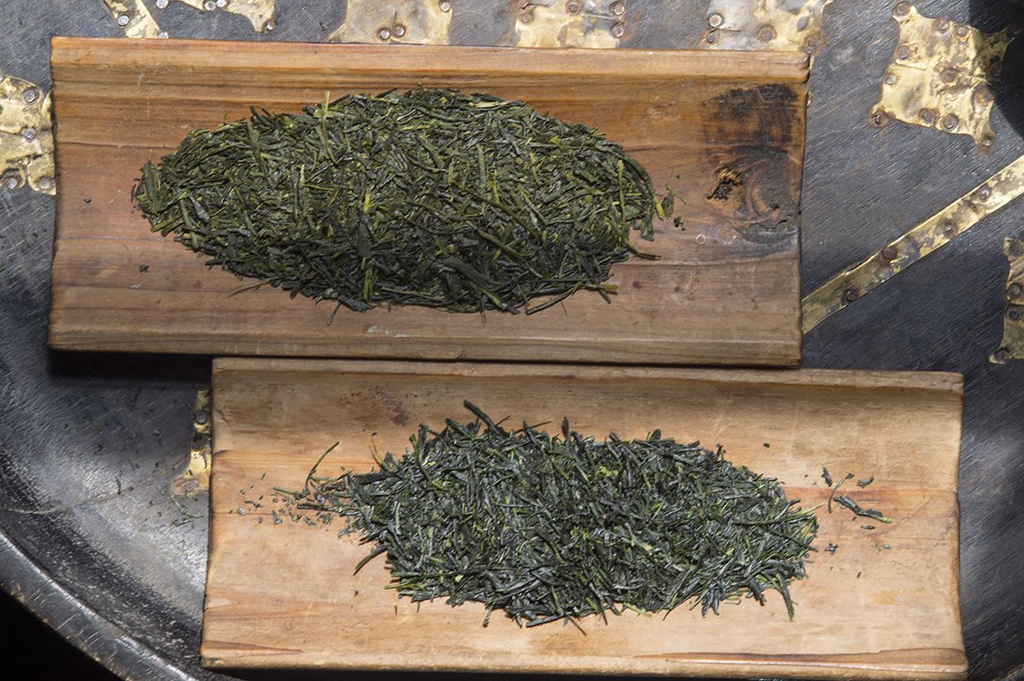 hoshitea organikus hegyi sencha