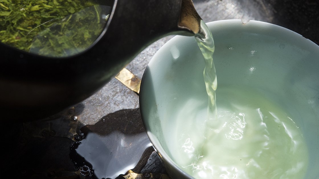 hoshitea organikus hegyi sencha