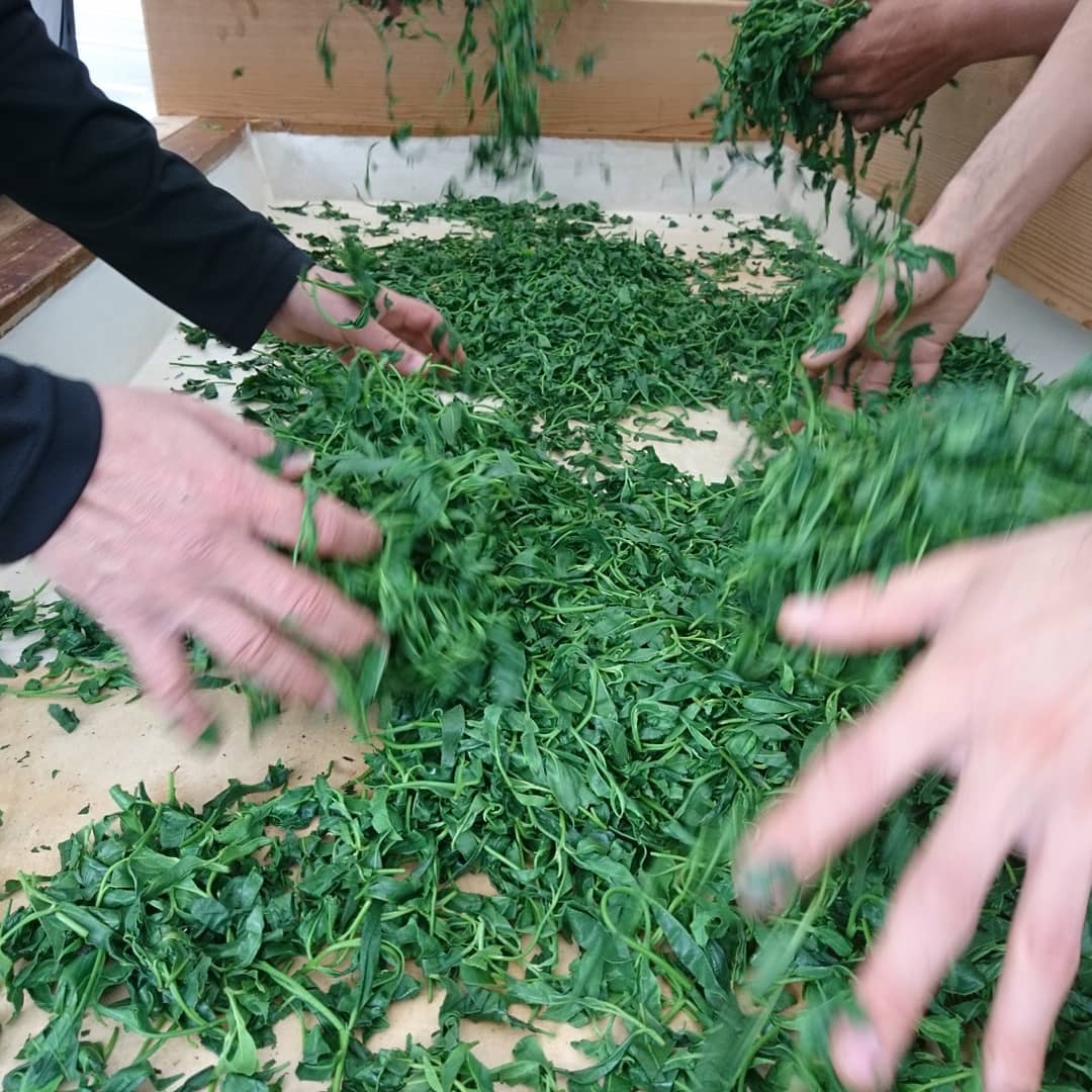 hoshitea dijnyertes gyokuro mare japan zold tea