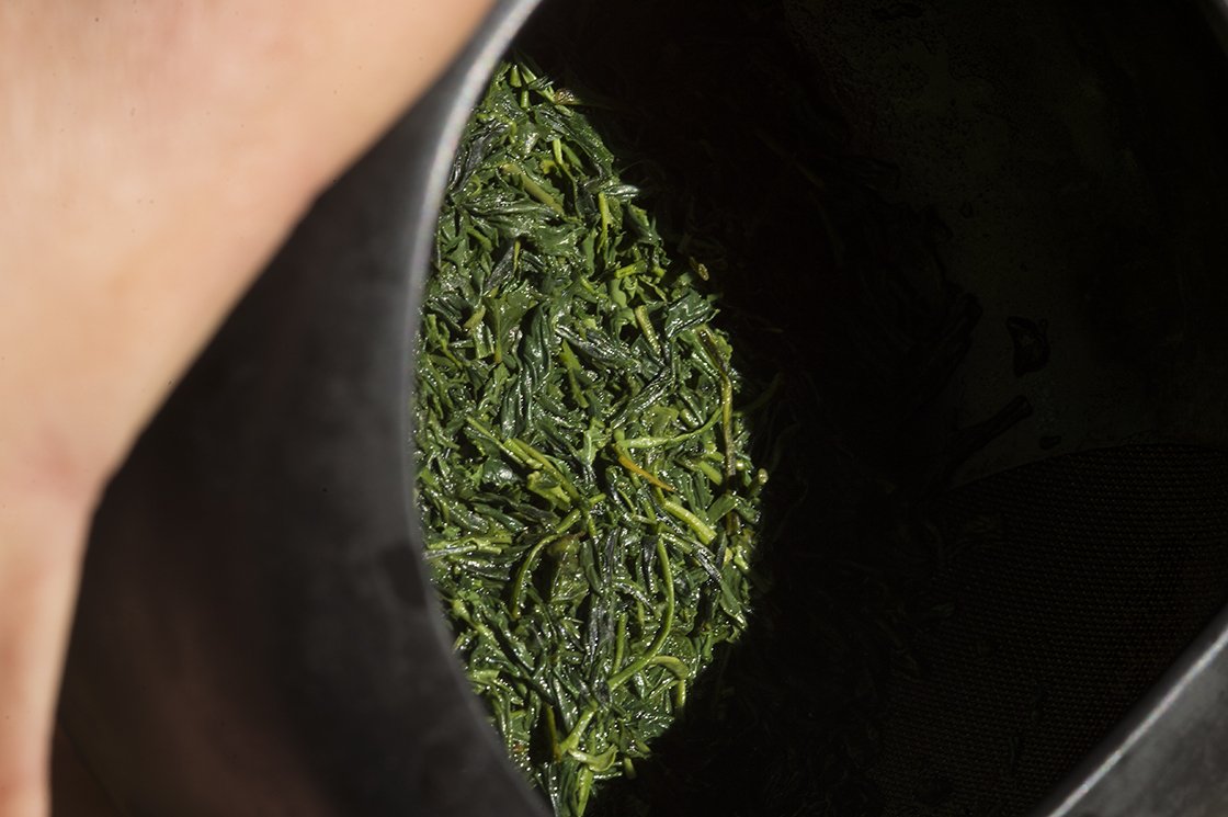 hoshino gyokuro fuyu no hana faszénen sütött gyokuro