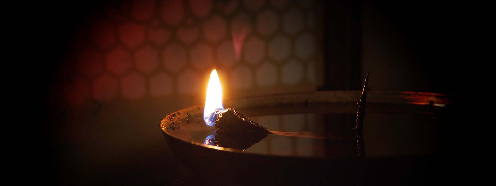 Hiyoshi Tea Kert Hiyoshi-chaen (日吉茶園)