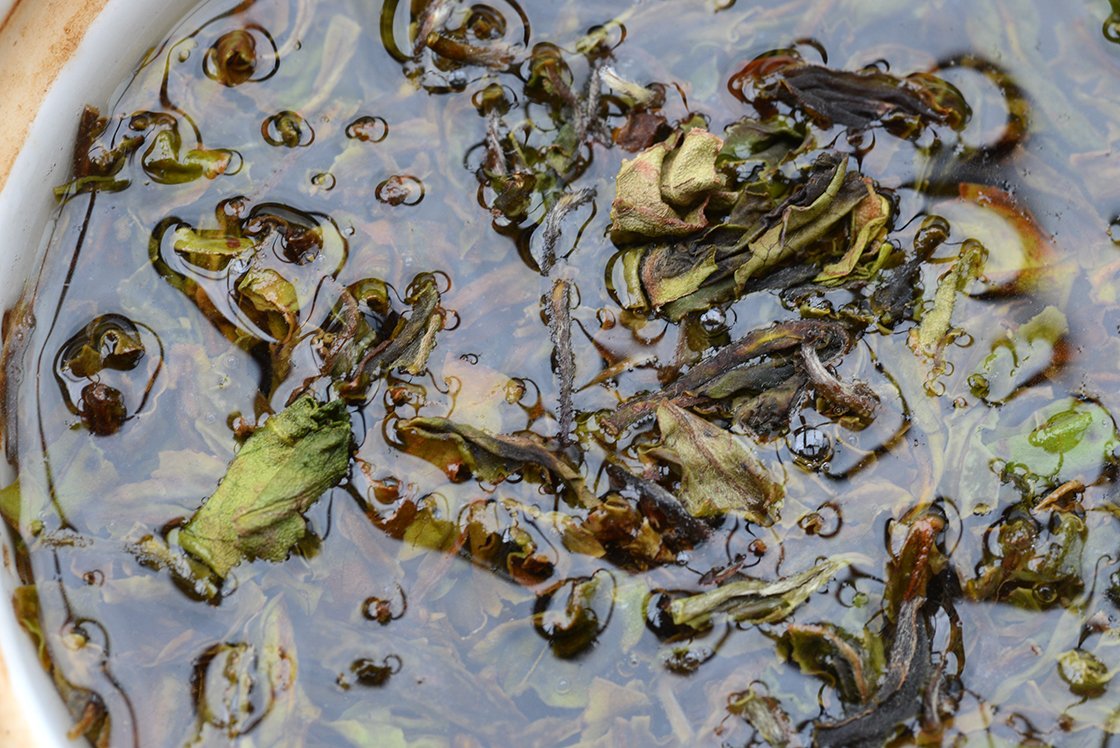 Darjeeling Gopaldhara Wonder oolong tea