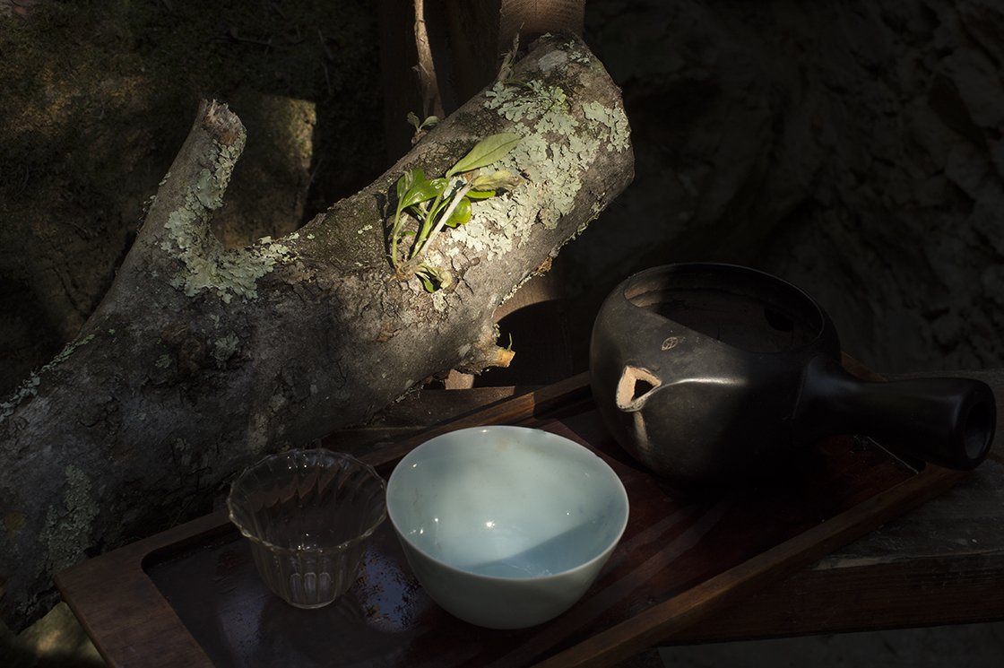 Sencha Ryuho japán zöld tea