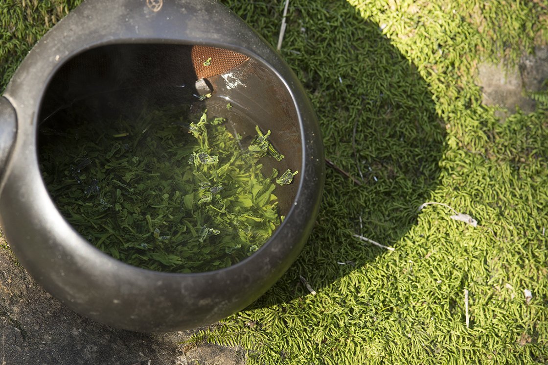 Sencha Ryuho japán zöld tea