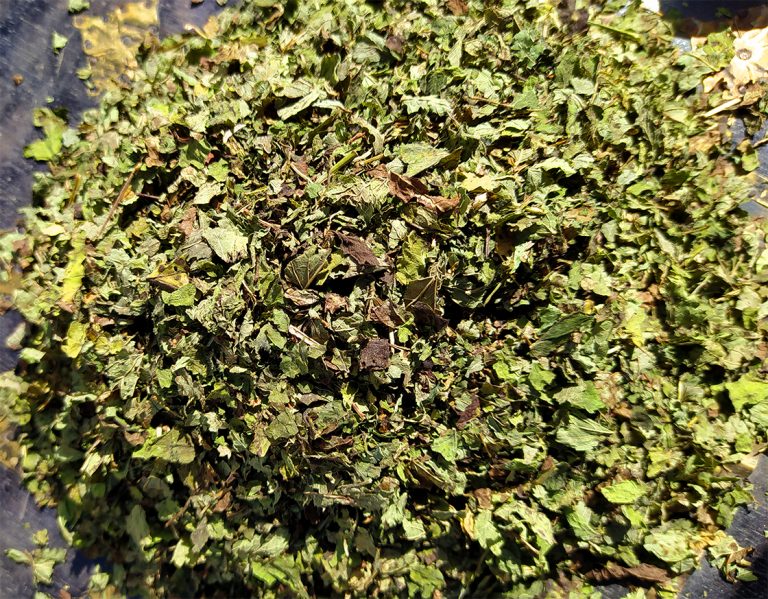 Citromfű - Melissa Officinalis