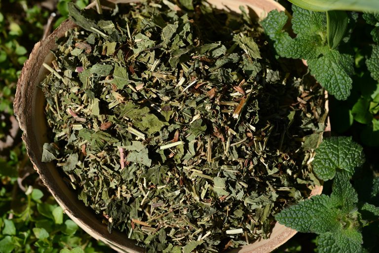 Citromfű - Melissa Officinalis