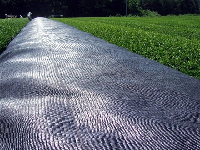 marukyu-koyamaen kabusecha takamado japán zöld tea