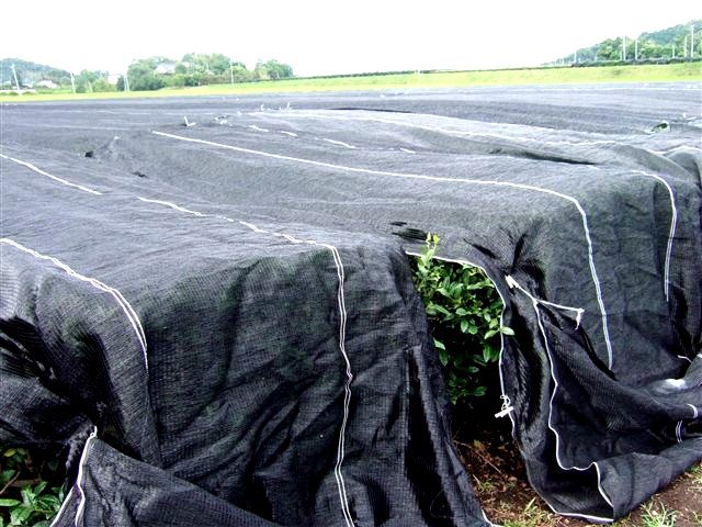 marukyu-koyamaen kabusecha takamado japán zöld tea