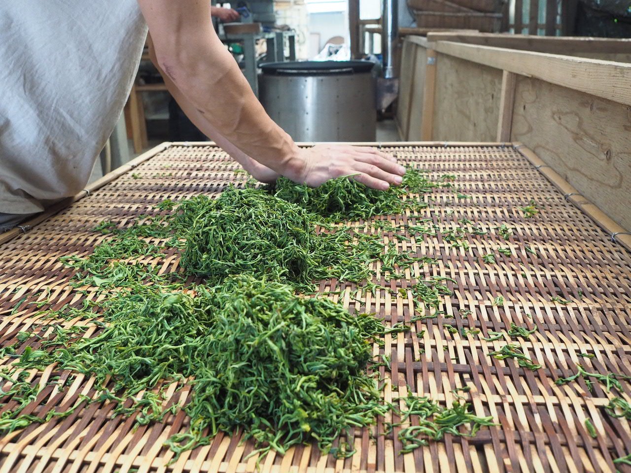 BIO kamairicha yamanami