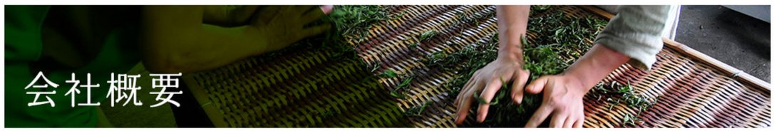 Bio Miyazaki Kamairicha