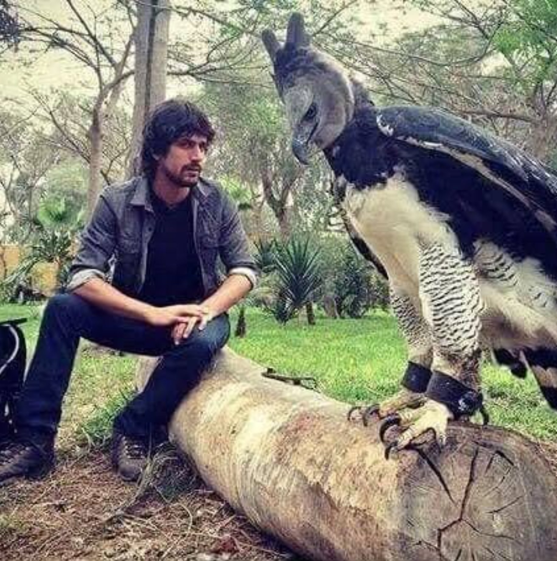 Erva Mate Paraná Chimarrão